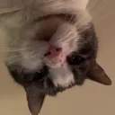 zoehrg