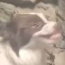 avatar 我是松俗辣