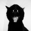 avatar 𝕱𝖑𝖔𝖗