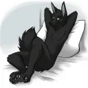 volflife