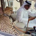 akhmed5130
