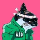 gypsydawg3156
