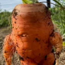 super_carrot64