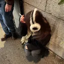 ariule