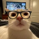 seekyw