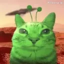 slugcats.