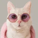 mastersnowy