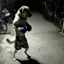 sonono_