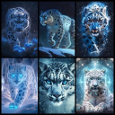 avatar 𖣴ˢⁿᵒʷˡᵉᵒᵖᵃʳᵈ|ᶠ🗝🐼🌈🔥|ˢʸˢ🐺