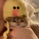 arvsmh