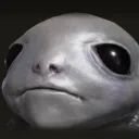 albinauricop