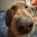 wowyouro