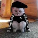 zxcbibaboba