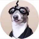 shibainu9202