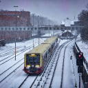 avatar ᲼᲼᲼᲼᲼᲼᲼᲼