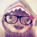 mikestersufox3