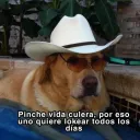 camilogonzalez9168