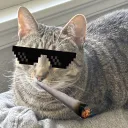 meepmweep avatar