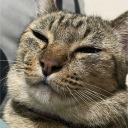 avatar ᴍᴇʟᴏɴ  •⩊• 🍈