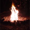 wick8303