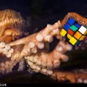 larofeticus