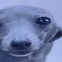 sdftdusername