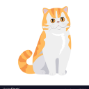 Gato