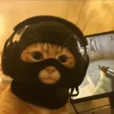 rumaier