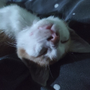 avatar Sigh.... No more coffee left.