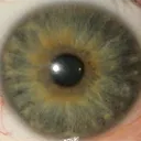 jwdwoodcock76