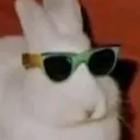 cookiex7160