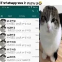 userfat