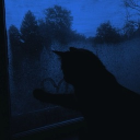 avatar ִֶָ☾.  𐙚