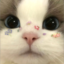 avatar ᵂⁱᶠᶜʰᵉⁿ ʚɞ