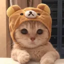 maayko