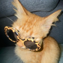 avatar modrookazrzka