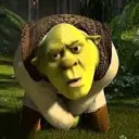 shrekisthiccc6037
