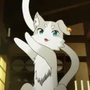 meiya