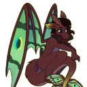 moth.drqgon