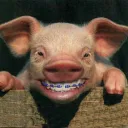 bingbongfromdingdong avatar