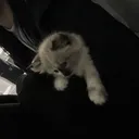 sleepinmysadness