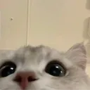 rhea_mw
