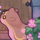 pomelofox