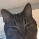 alexr3245