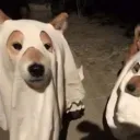 moonlittripz