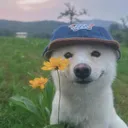 riowasfound