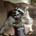 kartonekk