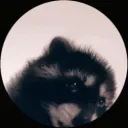 kartonekk