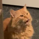 simbinaa