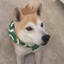 jenncha